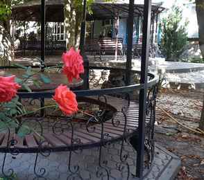 Санаторий-профилакторий «Рожок» ФНС России, фото 7