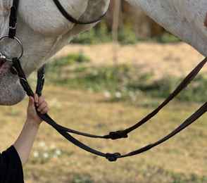 Отель «Вилла Альпина», фото 45