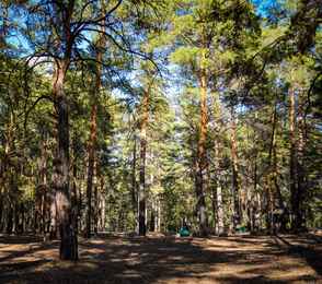 Санаторий «Лесники», фото 46