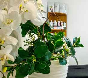 Курортная Клиника VERTEBRA, фото 29