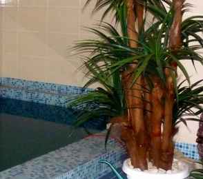 Гостиница «Парк-Отель», фото 22