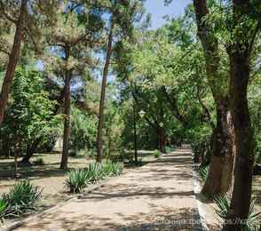 Черноморская здравница «Кабардинка», фото 14