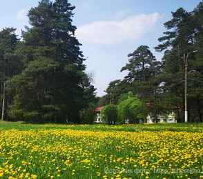 Санаторий «Череха», фото 2