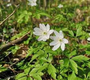 Санаторий «Череха», фото 9