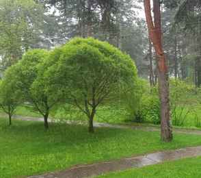 Санаторий «Череха», фото 12