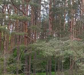 Санаторий «Череха», фото 26