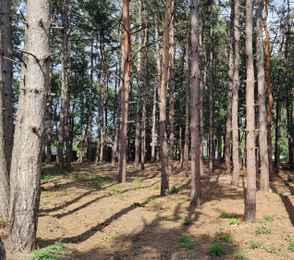 МИРРОС Montis MediSpa Отель Пятигорск 5*, фото 12