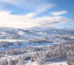 Отель «Altai Palace», фото 51