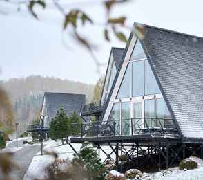 Отель «Altai Palace», фото 50