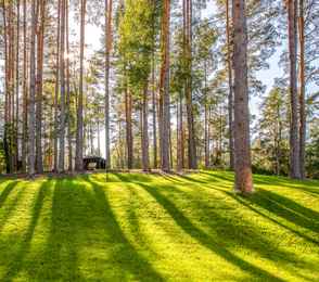 Санаторий «Тюрьма для жира», фото 45