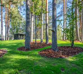 Санаторий «Тюрьма для жира», фото 50