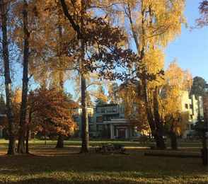 Арт-отель «Клен», фото 5