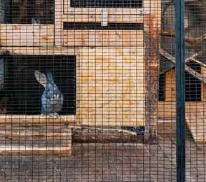 Эко-отель «THE Камский», фото 78