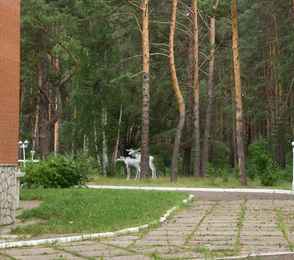 Санаторий-профилакторий «Агидель», фото 40