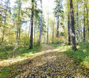 Санаторий-профилакторий «Хазино», фото 30