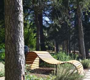 Санаторно-курортный комплекс «Лес», фото 3