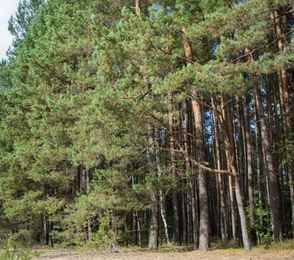 Спа-отель «Ореховый Сад», фото 28