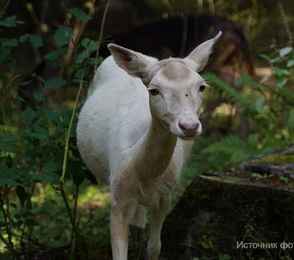 Отель «Домъ мастера Хомутова», фото 20