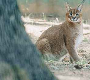 Отель «Домъ мастера Хомутова», фото 21