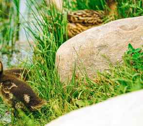 Отель «Домъ купчихи Глинкиной», фото 19