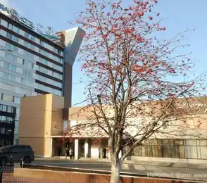 Grand Hotel Oka, фото 30