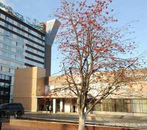 Гранд-отель «Ока Бизнес», фото 21