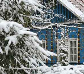 Санаторий «Красный Бор», фото 38