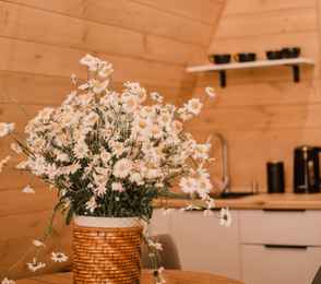 База отдыха «Робин Гуд», фото 34