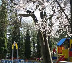 Санаторий «Белоруссия», фото 32