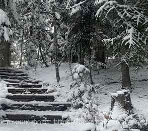 Эко-отель «Горы Village», фото 34