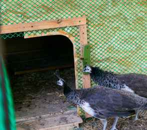 Санаторий «Орен-Крым», фото 45