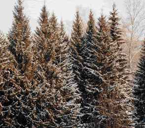 Санаторий-профилакторий «Энергетик», фото 32