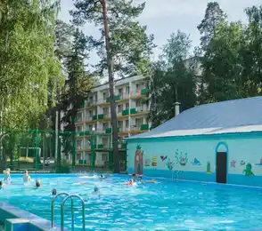 Санаторий «Васильевский»