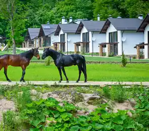 Загородный парк-отель «Орлиное плато»