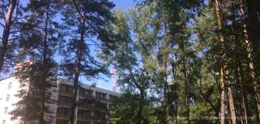 Санаторий «Красный Бор»
