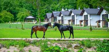 Загородный парк-отель «Орлиное плато»