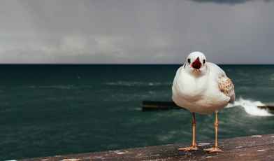 Санатории Светлогорска Калининградской области с лечением: здоровье и отдых на Балтийском побережье 