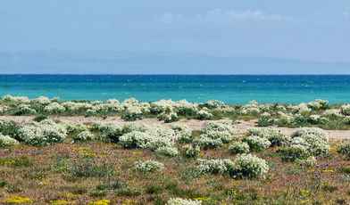 Лучшие санатории Евпатории с лечением: полезный отдых для взрослых и детей