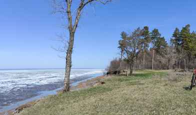 Лучшие санатории Ульяновской области с лечением: топ-7 для отдыха и оздоровления