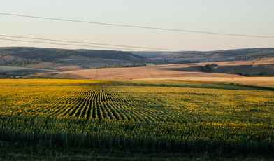 Лучшие санатории Башкирии: отдых на природе с лечением