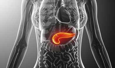 Хорошие санатории в 2021 году, где лечат панкреатит и заболевания поджелудочной железы