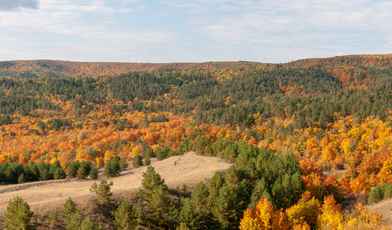 Санатории Саратовской области с лечением