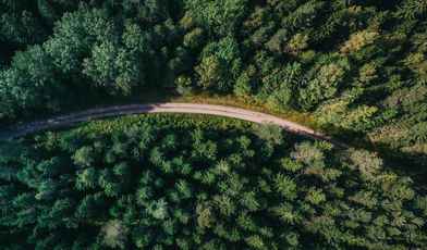 Санатории в лесу: топ лучших объектов с описанием преимуществ