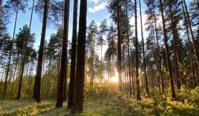 Рейтинг спа-отелей и санаториев Твери и Тверской области для отдыха и лечения