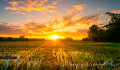 Лучшие санатории Кемеровской области с лечением: описание, программы, процедуры