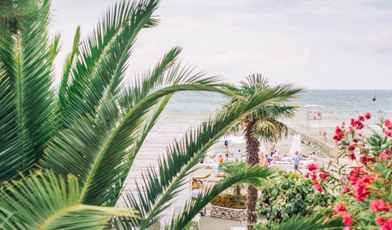 10 санаториев Сочи с лечением, бассейном и питанием в 2025 году