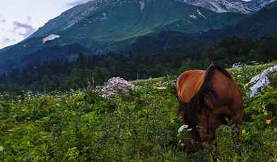 6 хороших санаториев, термальных и спа-отелей Адыгеи в 2025 году