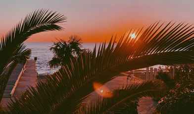 5 хороших недорогих санаториев Сочи на берегу моря для отдыха и лечения в 2024 году