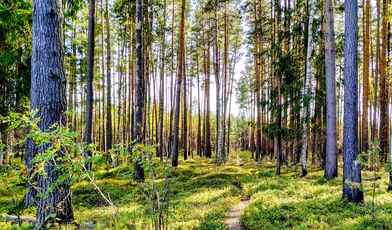 5 недорогих санаториев в Подмосковье для лечения и отдыха в 2024 году