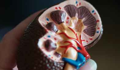 10 санаториев для лечения почек в России в 2024 году